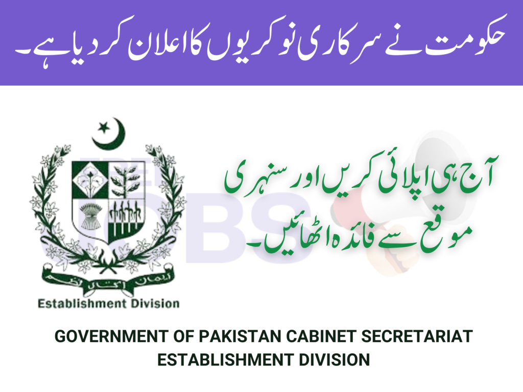 govt jobs establishmet jobs